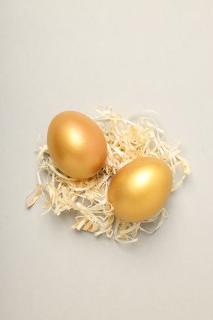 Golden eggs, pension savings, investments and retirement