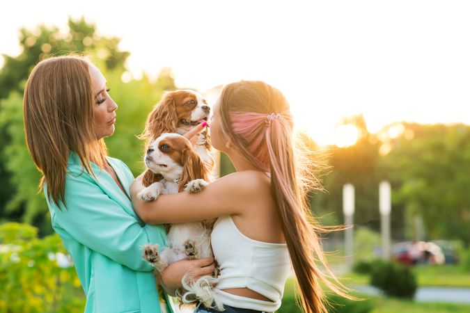 Female Owner Walk the Dog
