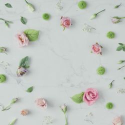 Pink flowers and leaves on marble background