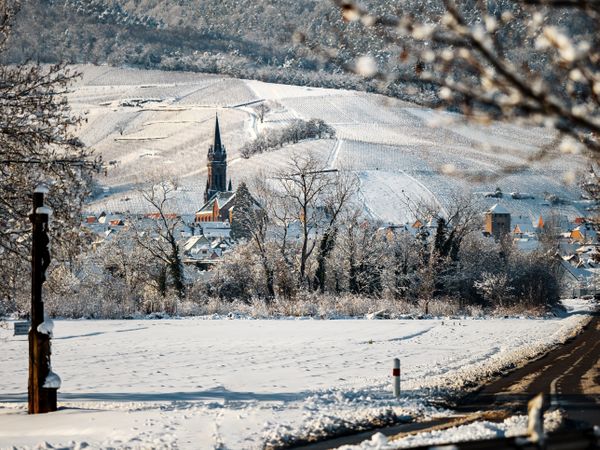 An old Alsatian town under the snow. The bell tower of the cathedral and the roofs of medieval houses.