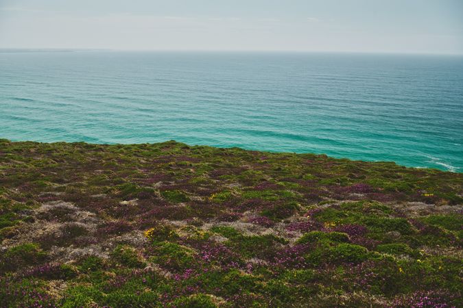 Mossy field over looking the sea
