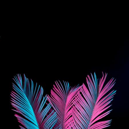 Tropical palm leaves in vibrant bold gradient blue and pink holographic neon  colors