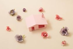 Spring flowers and leaves around pink house