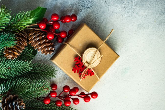 Wintry branches lining side of image with berries and small present