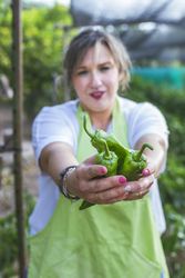 Gardener in apron showing green peppers at camera
