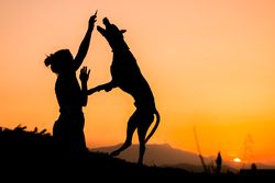 Female playing with dog at hilly area in evening
