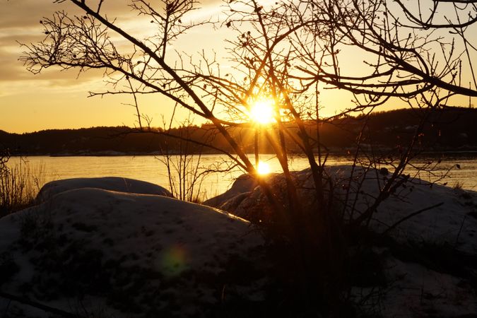 Peaceful meadow in pine forest near lake at sunset