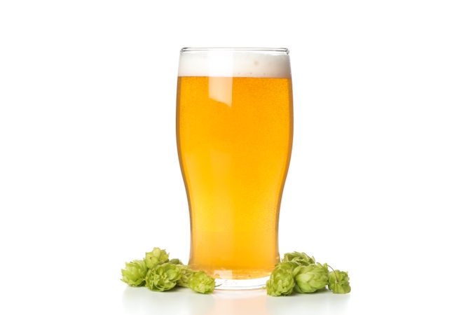 Glass of beer and hop cones isolated on light background