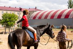 Young equestrian performs balance exercises during riding lesson.