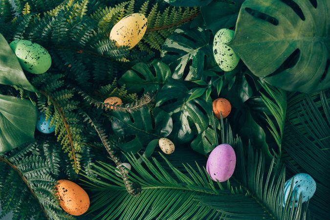 Easter eggs scattered around on foliage