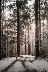 Person walking on snowy road in forest