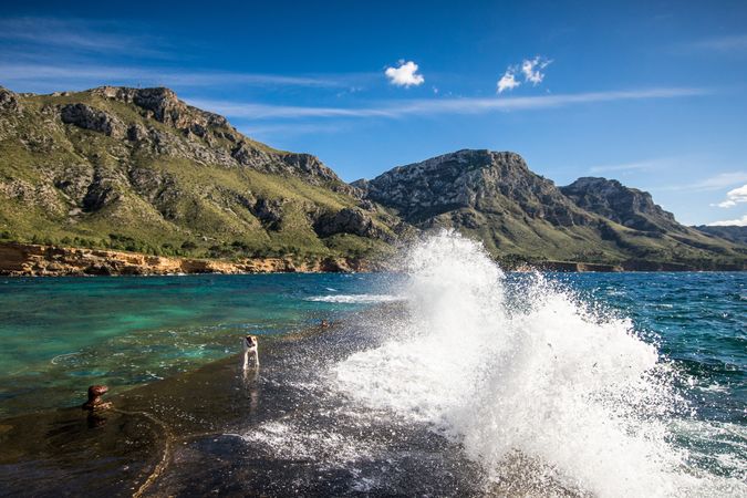 Dog standing near splashing sea