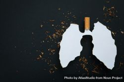 Ripped paper in lung shape with cigarette and tobacco on dark background with copy space 4BXMB0