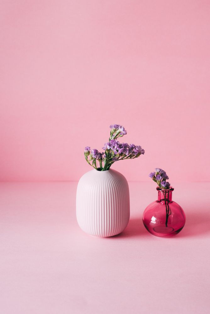 Violet sea lavender flowers in a pink background