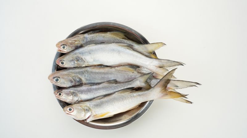 Yellow Croaker Fish, Ikan Ekor Kuning, served on stainless bowl on light background