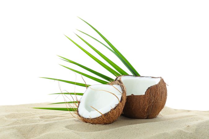 Coconuts and palm leaf on clear sea sand isolated on plain background. Summer vacation