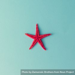 Red starfish on pastel blue background 5opG14