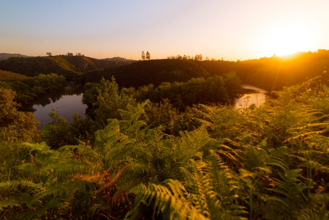 Peaceful river flowing in green nature