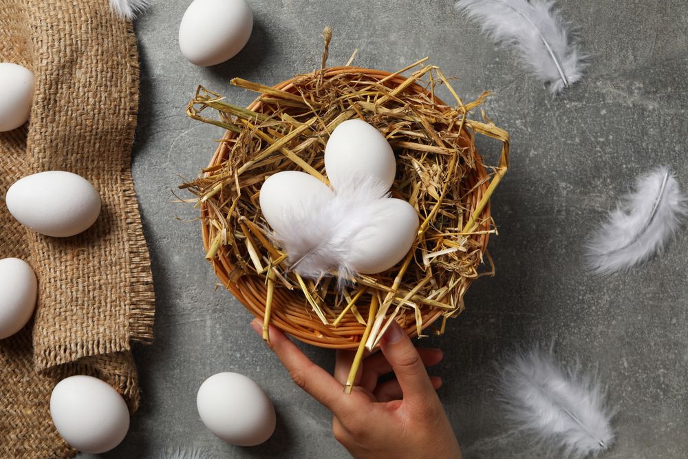 Concept of natural farm product - eggs, top view