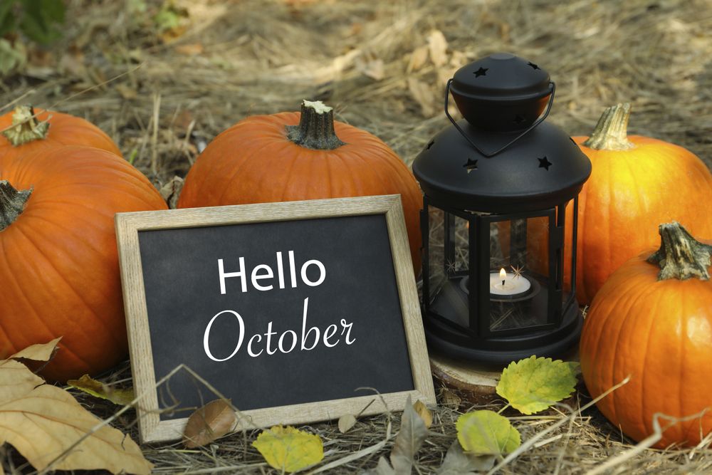 Cozy autumn concept with pumpkins and space for text