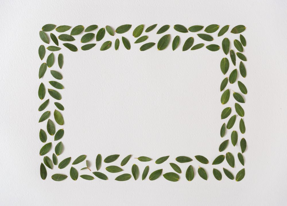 Green leaf frame on light background