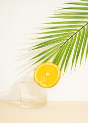 Glass of water with orange slide on neutral background and palm leaf