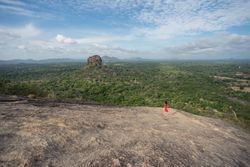 Tourist against solitary rock in middle of green forested plain under clear sky in summer