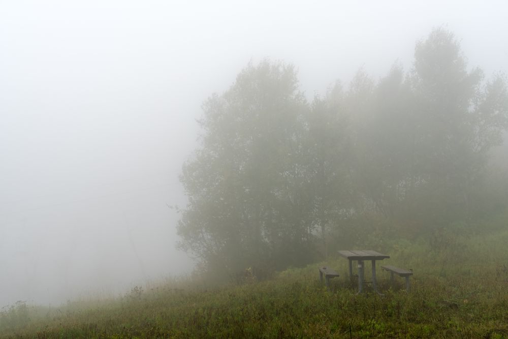 Foggy day at picnic bench