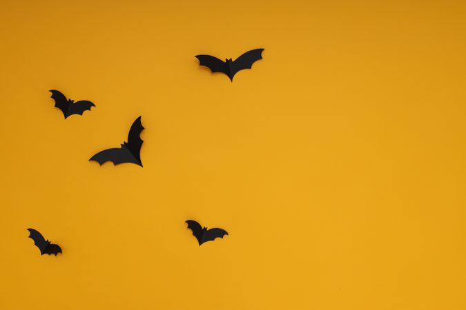 Yellow background with bats, in Halloween style