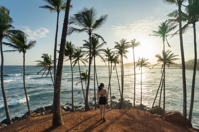 Tranquil female traveler among palms at seashore
