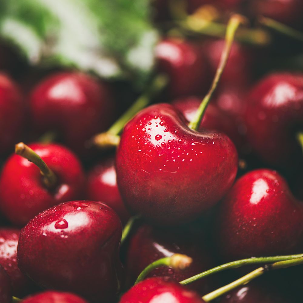 Freshly washed batch of cherries, square crop, close up, whole cherry