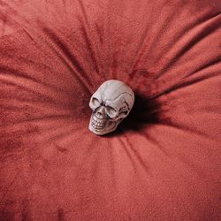 Retro still life with skeleton skull and red velvet