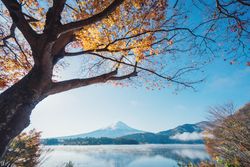 Winter landscape at Lake Kawaguchiko in Yamanashi, Japan