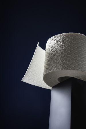 Roll of toilet paper on pedestal in a beam of light