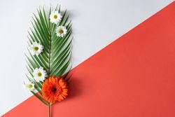 Palm leaf and flowers on  background