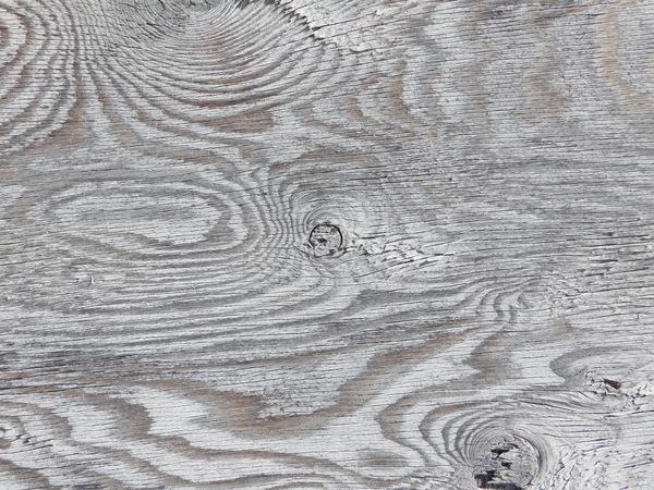 Wood Texture In The Garden