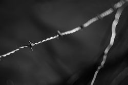 Tense barbed wire