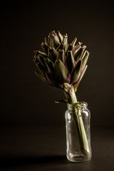 Ripe artichoke in small bottle