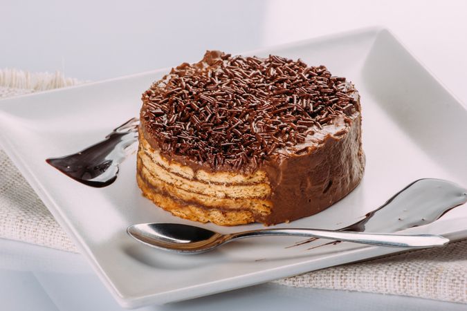 Appetizing chocolate cake ready to eat