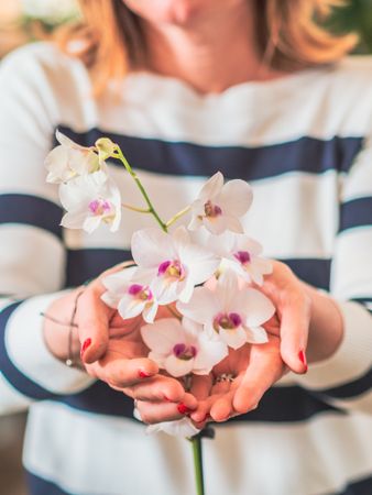 Female with beautiful orchid in hands