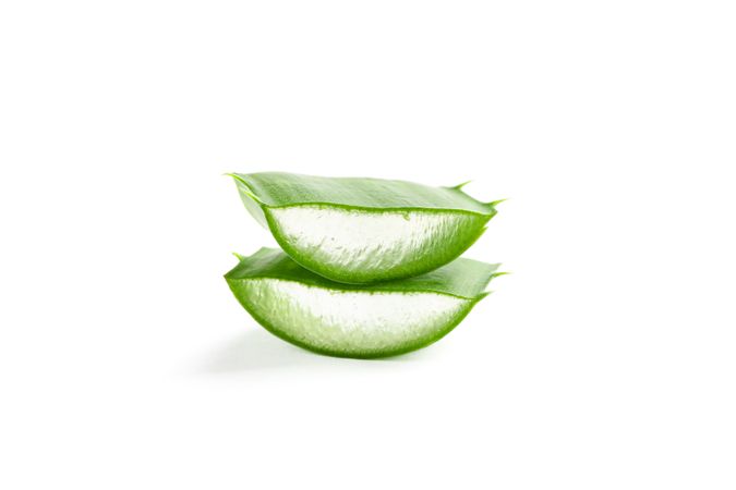 Aloe vera slices isolated on studio background. Herbal medicine
