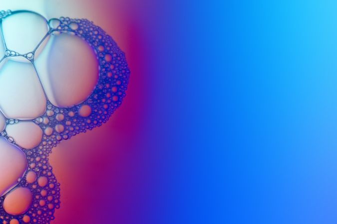 Abstract background bio technology, macro photography foam and water with gradient background. Molecule multicolor backgorund