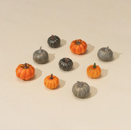 Pattern of multi-colored mini pumpkins and squash