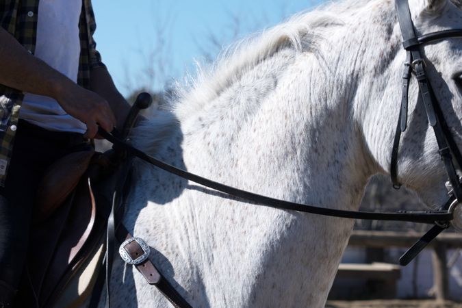 Closeup of a man riding horse