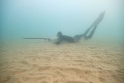 Underwater anonymous fisherman hunting near sandy bottom