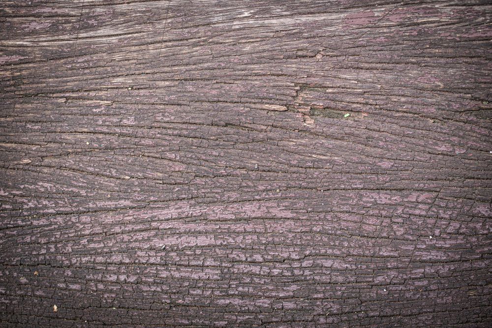 Old grunge wood texture background