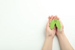 Small green lungs being held in hands with copy space