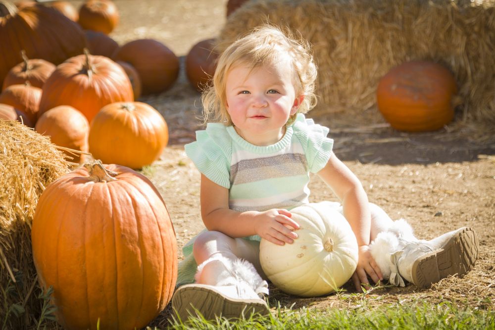 Adorable Baby Girl Holding a Pumpkin at the Pumpkin Patch.