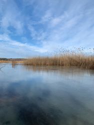 Frozen ice blue sky