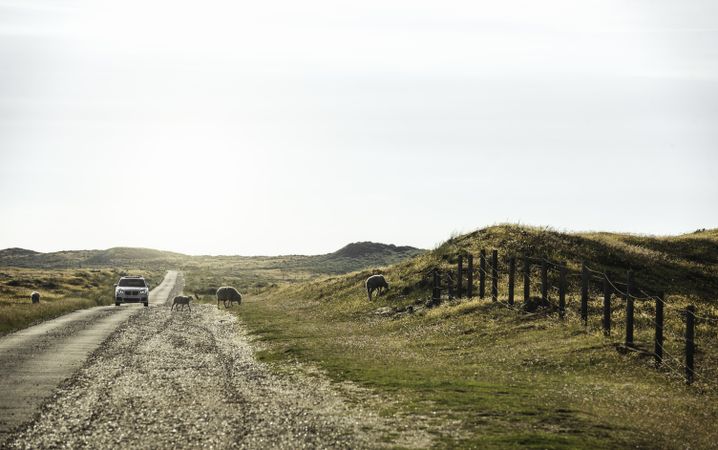 Road to fields of moss on Sylt island